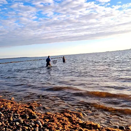 公寓 App 7u Erholsamen Sundowner 德兰斯克