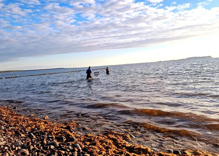 Διαμέρισμα App 7u Erholsamen Sundowner In Dranske